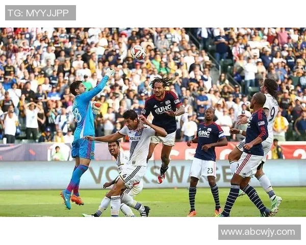 科罗拉多队与新英格兰队精彩对决比分揭晓分析